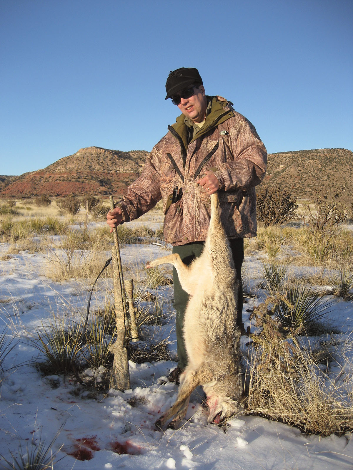 A 40-grain Ballistic Silvertip from a .223 Savage Predator Hunter rifle dropped this coyote. The Predator Hunter’s 1-in-9-inch twist barrel shoots well with bullets from 40 to  77 grains.